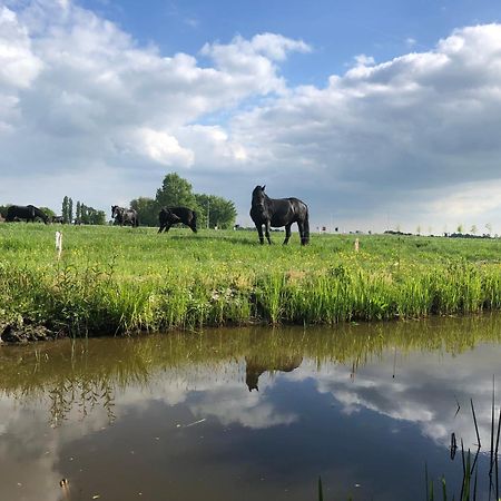 Vakantiehuis In Friesland Voor De Hele Familie Huns Eksteriør billede