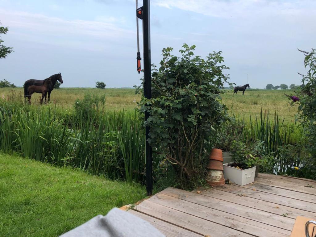 Vakantiehuis In Friesland Voor De Hele Familie Huns Eksteriør billede