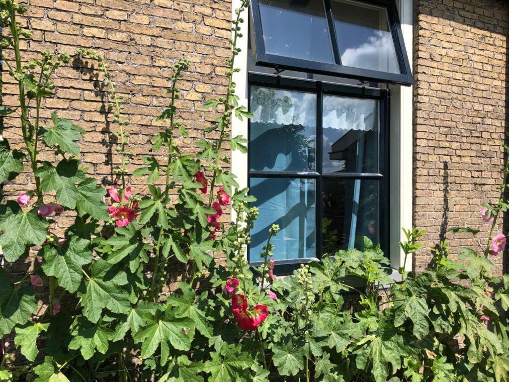 Vakantiehuis In Friesland Voor De Hele Familie Huns Eksteriør billede